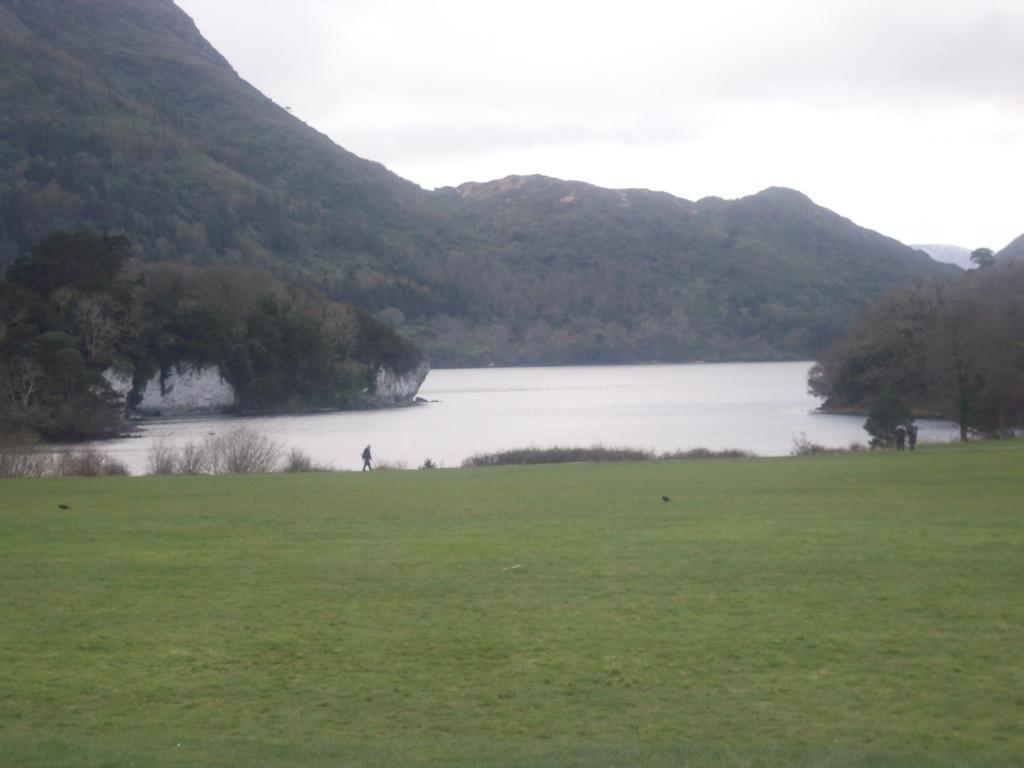Bed & Breakfast The Purple Heather 3*