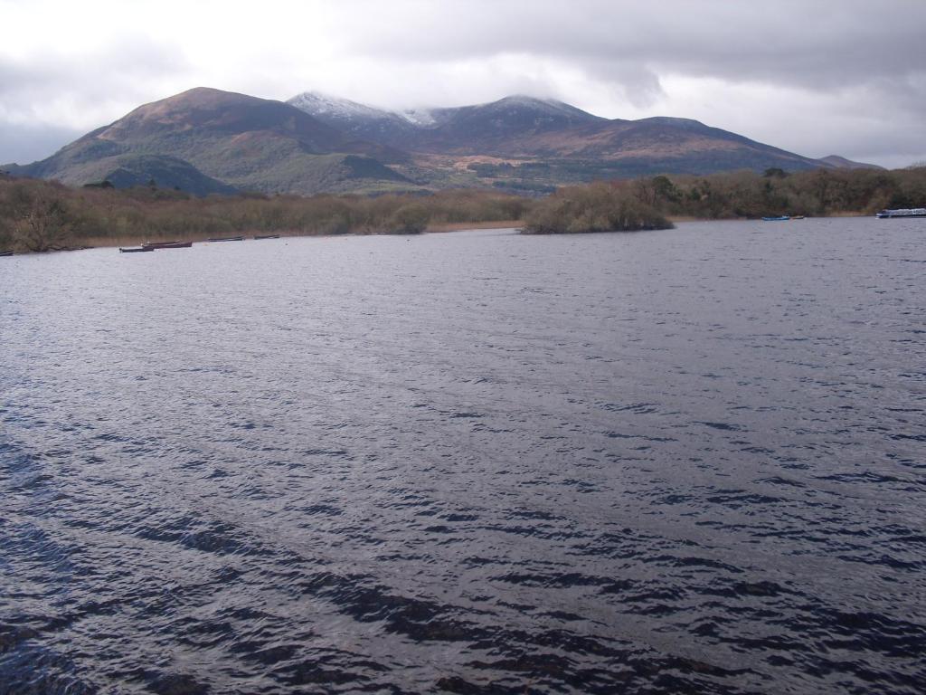 The Purple Heather 3*