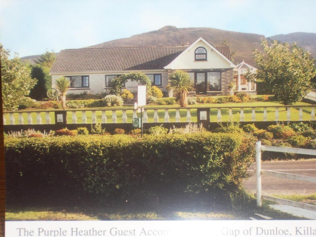 The Purple Heather Bed & Breakfast 3*